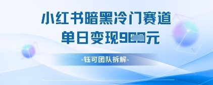 小红书冷门”暗黑”赛道，单日收益多张-菜菜资源汇-优质互联网资源分享