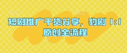 短剧推广干货分享，豹剧 1:1原创全流程-菜菜资源汇-优质互联网资源分享