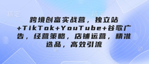 跨境创富实战营，独立站+TikTok+YouTube+谷歌广告，经营策略，店铺运营，精准选品，高效引流-菜菜资源汇-优质互联网资源分享