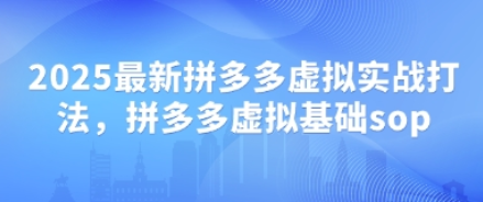 2025最新拼多多虚拟实战打法，拼多多虚拟基础sop-菜菜资源汇-优质互联网资源分享
