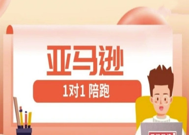 亚马逊1对1陪跑课(FBA/FBM精铺)跨境亚马逊教程-菜菜资源汇-优质互联网资源分享