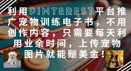 利用Pinterest平台推广宠物训练电子书，不用创作内容，只需要每天利用业余时间，上传宠物图片就能挣美金!-菜菜资源汇-优质互联网资源分享