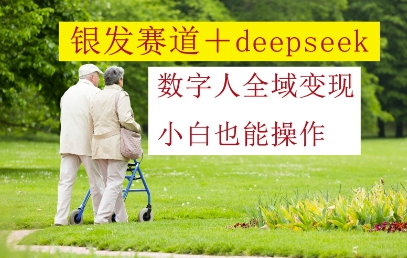 银发赛道+deepseek数字人全域变现，小白也能操作-菜菜资源汇-优质互联网资源分享