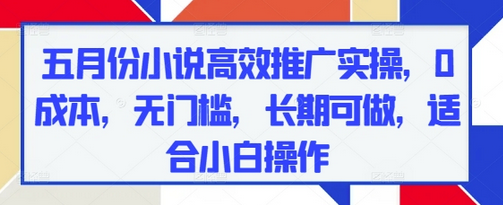 五月份小说高效推广实操，0成本，无门槛，长期可做，适合小白操作-菜菜资源汇-优质互联网资源分享