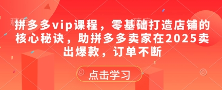 拼多多vip课程，零基础打造店铺的核心秘诀，助拼多多卖家在2025卖出爆款，订单不断-菜菜资源汇-优质互联网资源分享